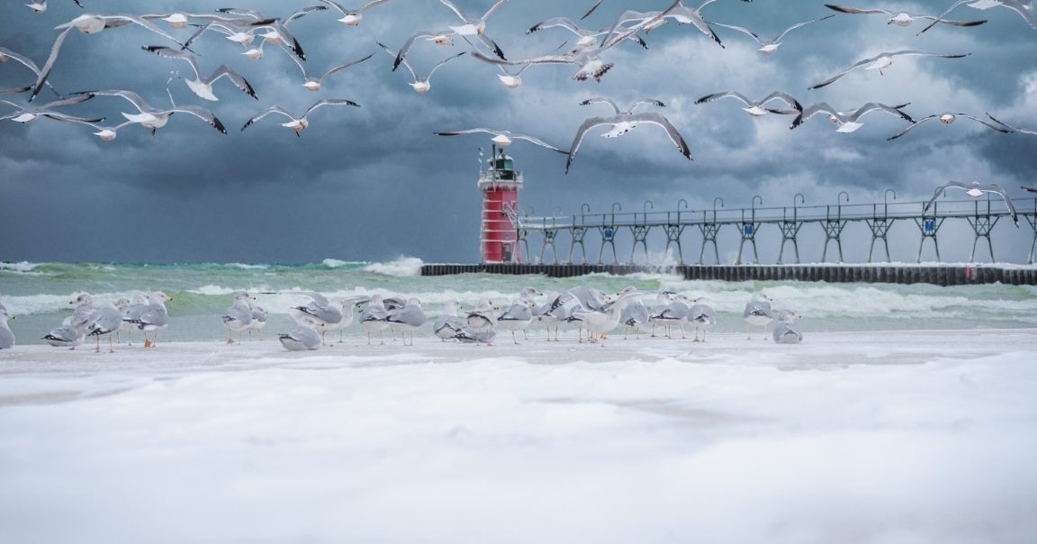 South hotsell Haven Winter Beach, 12x17 photo