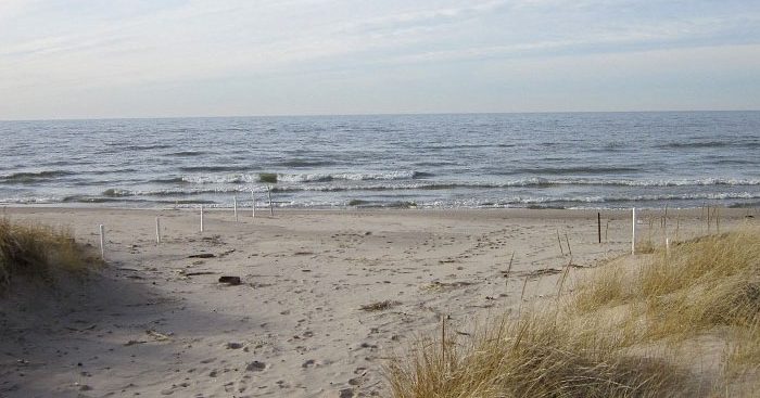 Newcome Beach | South Haven Visitors Bureau